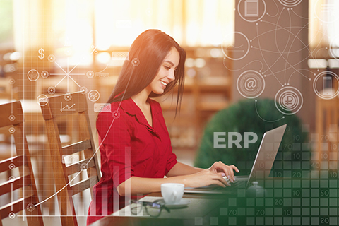 Custom ERP Solutions