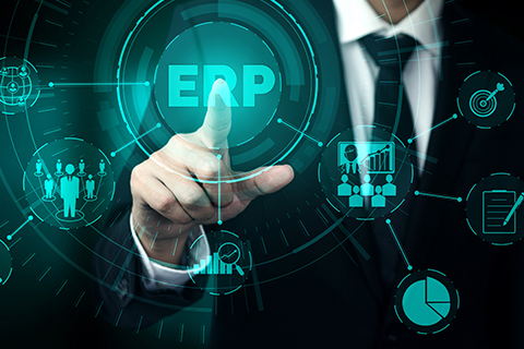 ERP Application Development