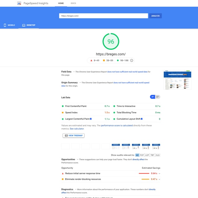 Google PageSpeed Score