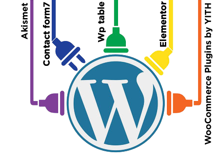 WordPress Plugin Development